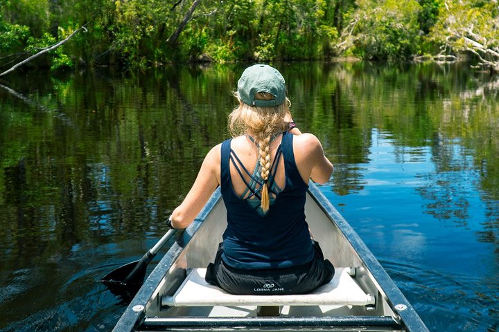 Cruise 'n' Canoe to Australia's Everglades - Redcliffe Tourism