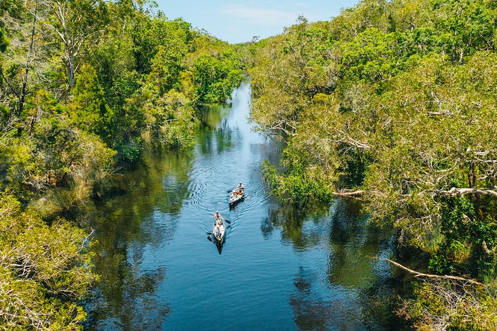 Cruise 'n' Canoe To Australia's Everglades - thumb 3