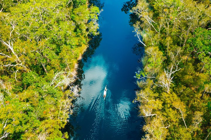 Cruise 'n' Canoe To Australia's Everglades - Surfers Gold Coast 4