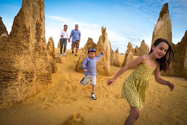 Full-Day Pinnacles Desert and Yanchep National Park Tour From Perth - Phillip Island Accommodation