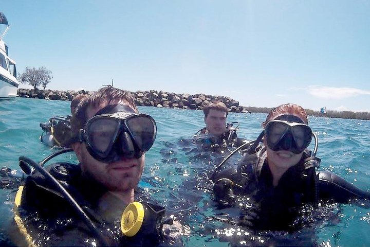 Wave Break Island Scuba Diving on the Gold Coast - Accommodation Cooktown