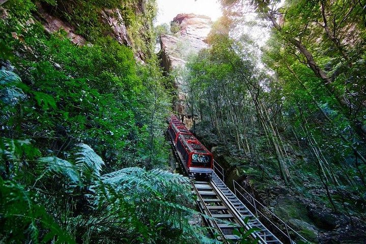 Fully Inclusive Blue Mountains Private Tour Inc Scenic World & Featherdale Entry - Lennox Head Accommodation 4