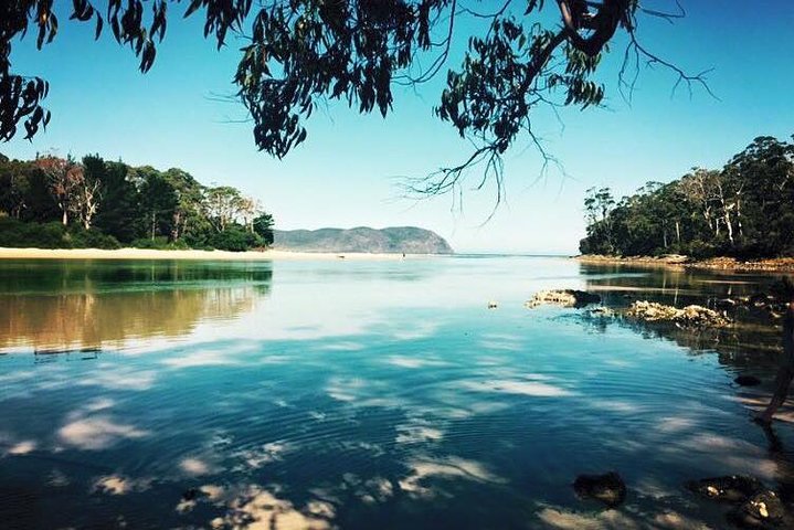 Full-Day Guided Bruny Island Tour From Hobart - thumb 1