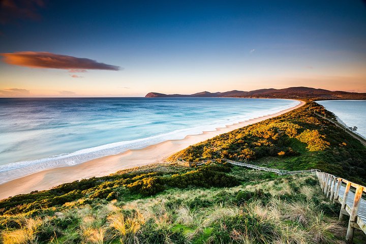 Full-Day Guided Bruny Island Tour From Hobart - thumb 2