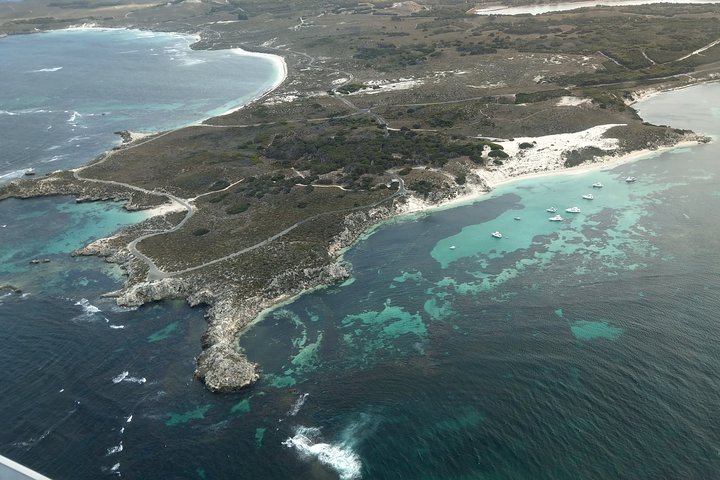 Full Day Tour By Seaplane To Rottnest Island Small Group Trip - thumb 5