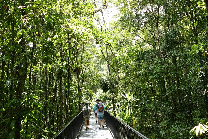 Daintree Dreaming Traditional Aboriginal Fishing From Cairns Or Port Douglas - Accommodation Cooktown 3