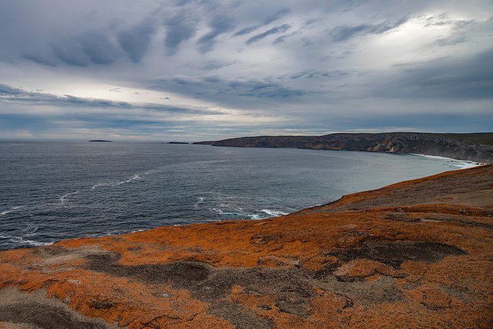Kangaroo Island Luxury Small Group 'Flinders Chase Focus' Full Day Tour, North Cape