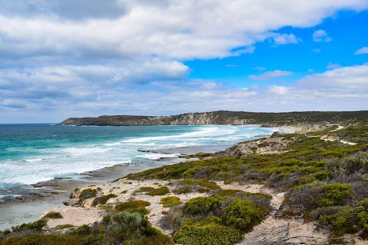 Kangaroo Island Luxury Small Group 'East End Explorer' Full Day Tour, North Cape