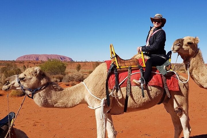 Uluru Small-Group Tour by Camel at Sunrise or Sunset - Accommodation NT