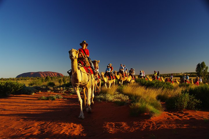 Uluru Small-Group Tour By Camel At Sunrise Or Sunset - Accommodation Bookings 1