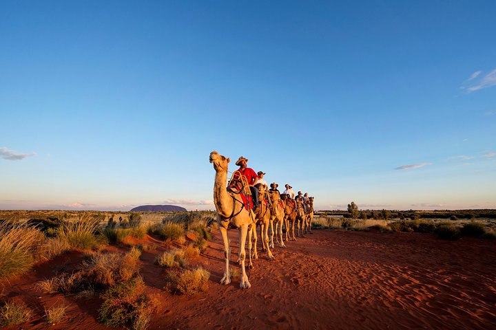 Uluru Small-Group Tour By Camel At Sunrise Or Sunset - Accommodation NT 3