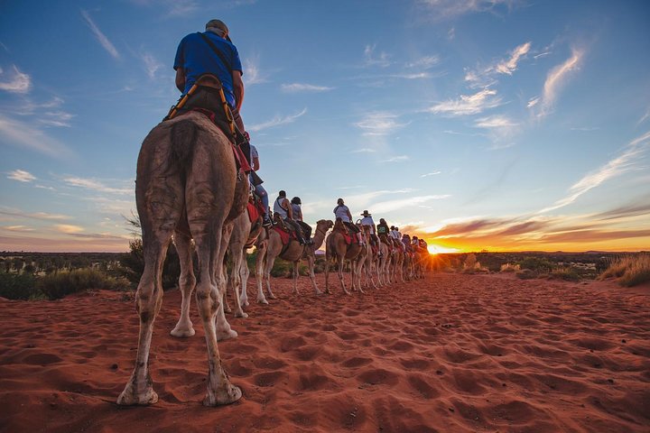 Uluru Small-Group Tour By Camel At Sunrise Or Sunset - Accommodation NT 5