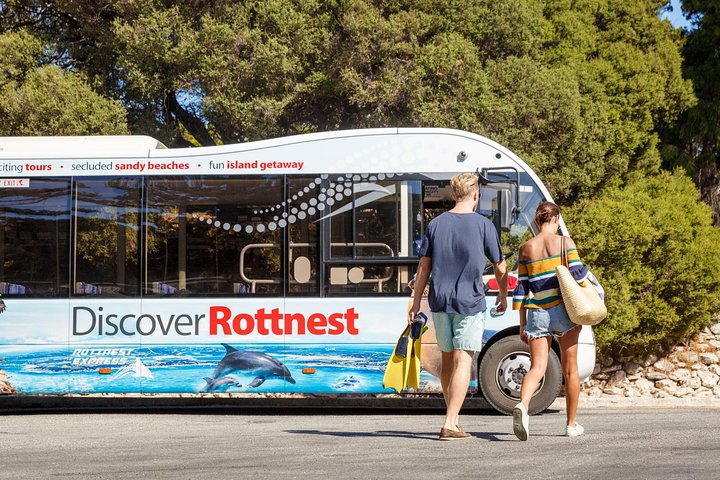 Discover Rottnest With Ferry & Bus Tour From Perth Or Fremantle - Accommodation Perth 1