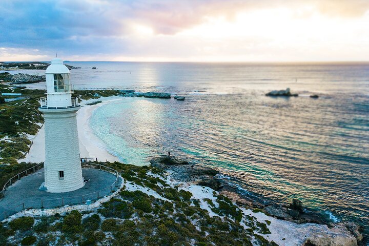 Discover Rottnest With Ferry & Bus Tour From Perth Or Fremantle - Accommodation Perth 2