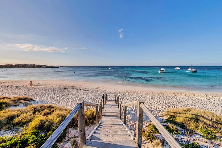 Discover Rottnest With Ferry & Bus Tour From Perth Or Fremantle - Accommodation Perth 4