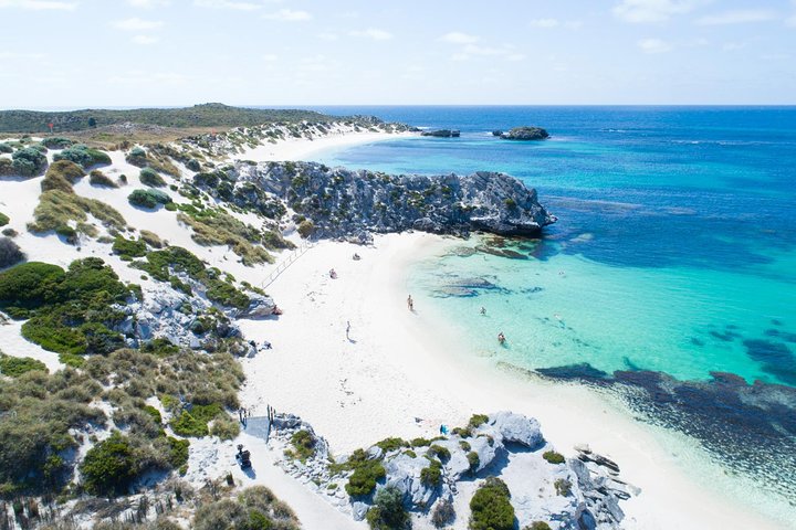 Discover Rottnest With Ferry & Bus Tour From Perth Or Fremantle - Accommodation Perth 5