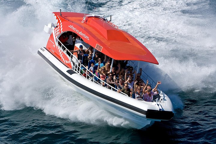 Adventure Rottnest Tour With Ferry & Adventure Cruise From Perth Or Fremantle - Tourism Bookings WA 2