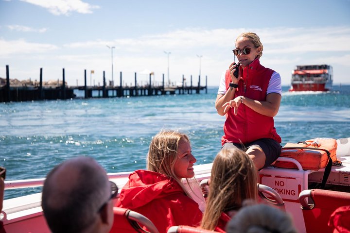 Adventure Rottnest Tour With Ferry & Adventure Cruise From Perth Or Fremantle - Accommodation Directory 4