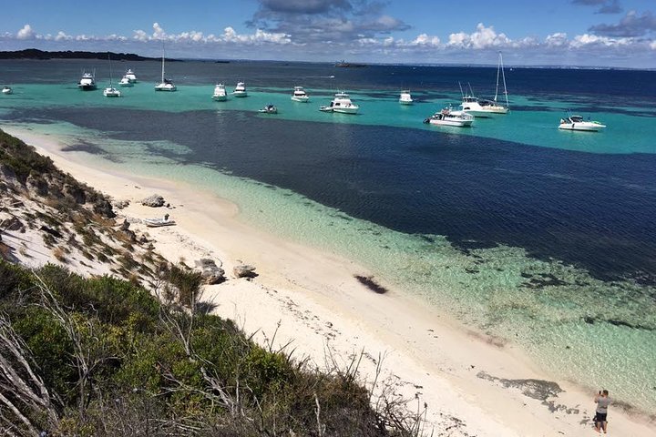 Experience Rottnest with Ferry  Bike Hire from Perth or Fremantle - Accommodation Kalgoorlie