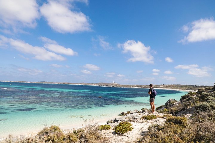 Experience Rottnest With Ferry & Bike Hire From Perth Or Fremantle - thumb 3