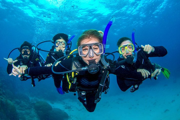 Great Barrier Reef Diving and Snorkeling Cruise from Cairns