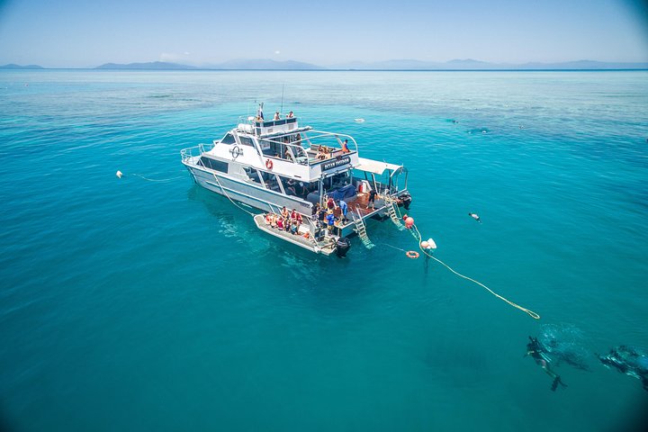 Ocean Freedom Great Barrier Reef Personal Luxury Snorkel  Dive Cruise Cairns - Accommodation Mermaid Beach