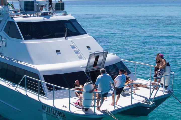 Ocean Freedom Great Barrier Reef Personal Luxury Snorkel & Dive Cruise, Cairns - Palm Beach Accommodation 1