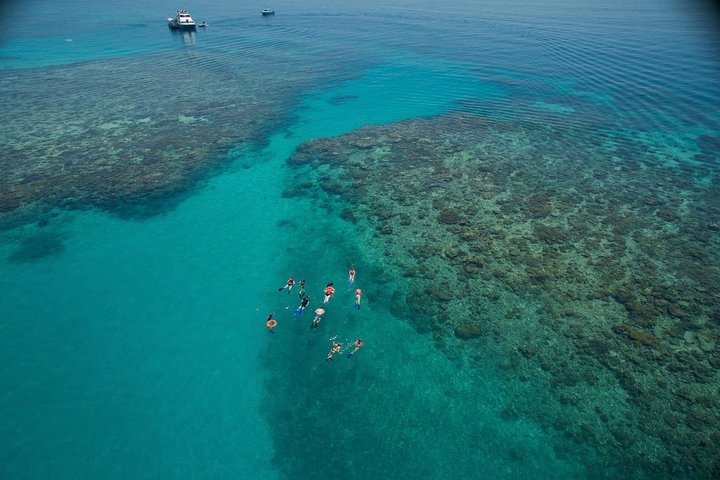 Ocean Freedom Great Barrier Reef Personal Luxury Snorkel & Dive Cruise, Cairns - Palm Beach Accommodation 3