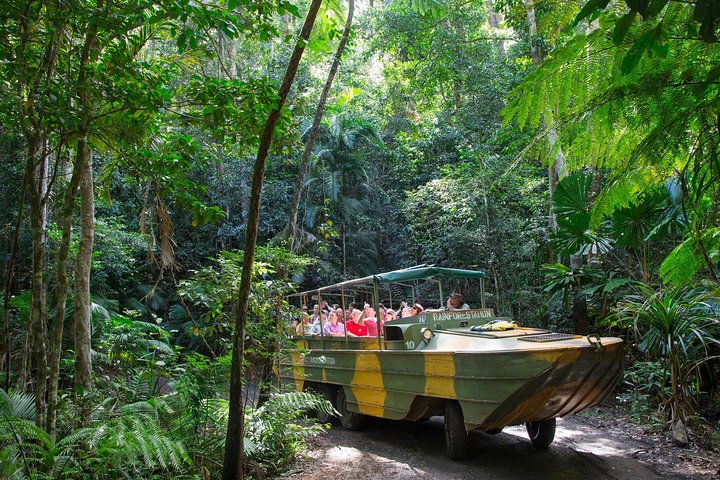 Kuranda Highlights Including Rainforestation Aboriginal Culture And Wildlife - thumb 2