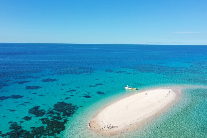 Ocean Safari Great Barrier Reef Experience in Cape Tribulation - Phillip Island Accommodation