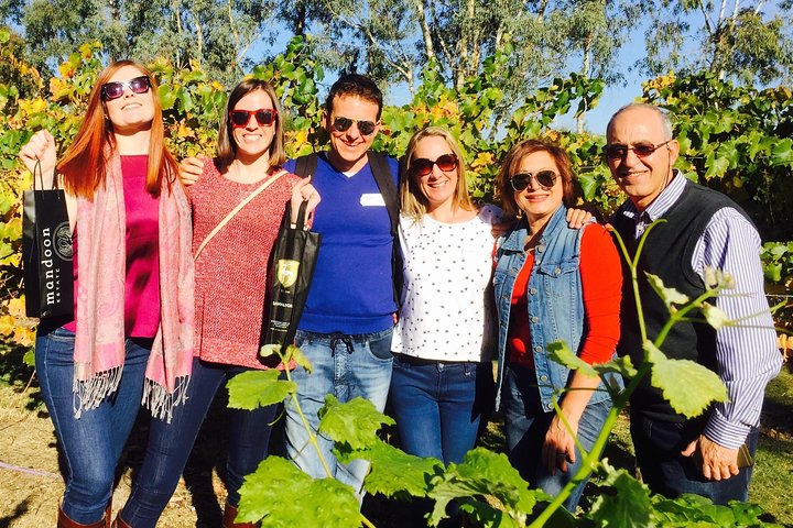 Swan Valley Tour From Perth: Wine, Beer And Chocolate Tastings - Accommodation Perth 2