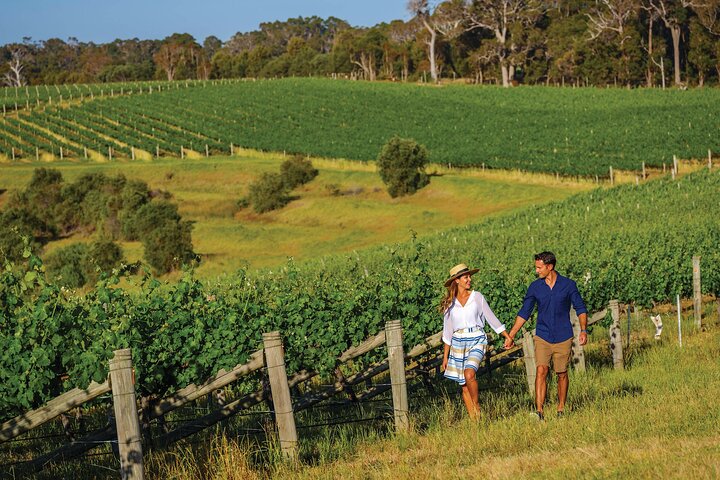10 Day Perth to Adelaide Private Tour - The Great Australian Wilderness Journey - Phillip Island Accommodation