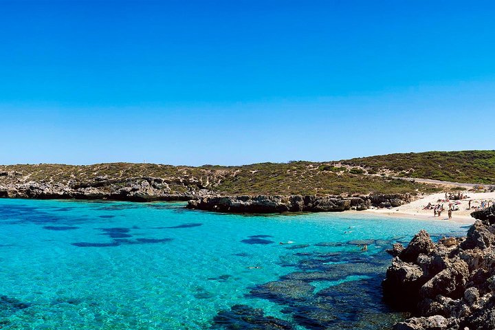 Rottnest Island Roundtrip Fast Ferry From Hillarys Boat Harbour - Accommodation Kalgoorlie 4