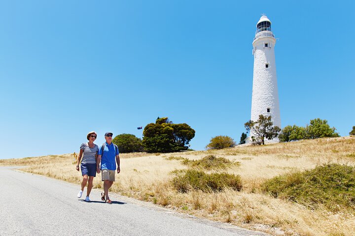Rottnest Island Full-Day Trip With Guided Island Tour From Perth - Accommodation BNB 4