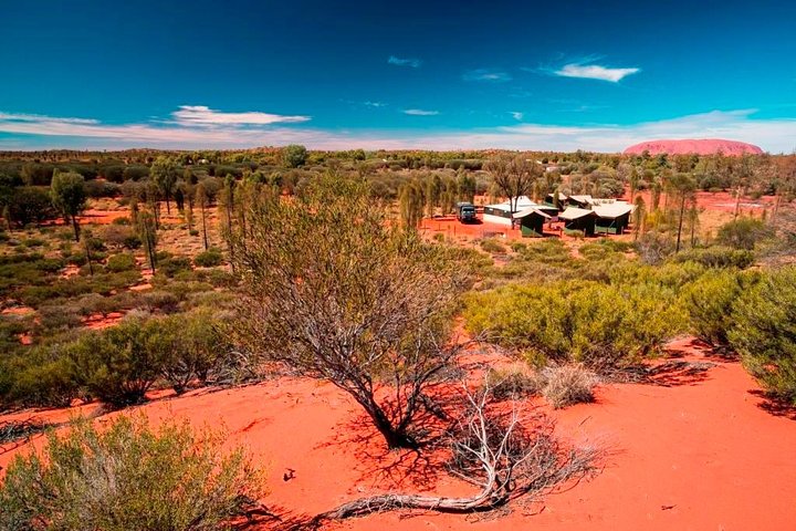 Overnight Uluru (Ayers Rock) Small-Group Camping Tour - thumb 2
