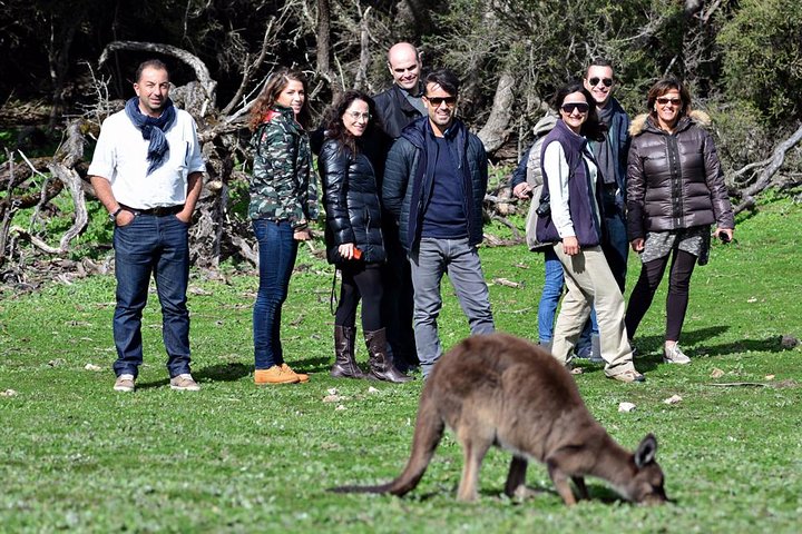 2-Day Kangaroo Island 4WD Small-Group Tour From Adelaide - thumb 1