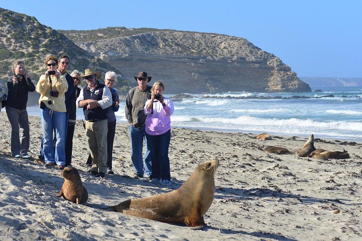 2-Day Kangaroo Island 4WD Small-Group Tour From Adelaide - thumb 3