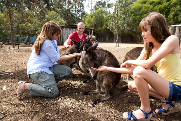 Full-Day Kangaroo Island Experience Departing From Kangaroo Island - Accommodation in Brisbane 5