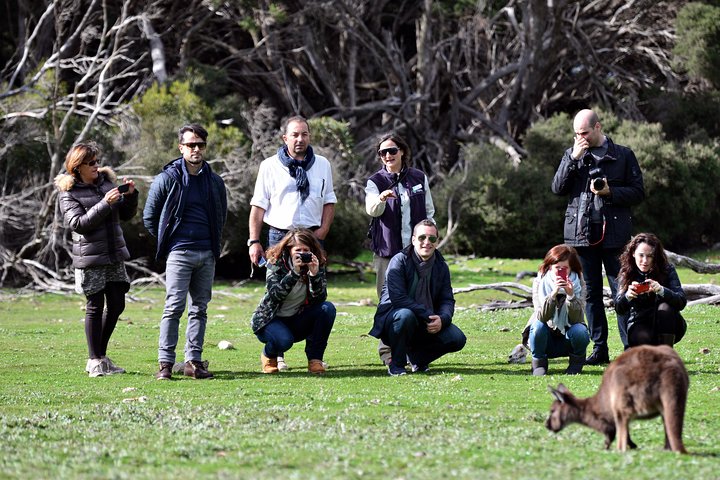 Small-Group Kangaroo Island 4WD Tour From Adelaide - thumb 2