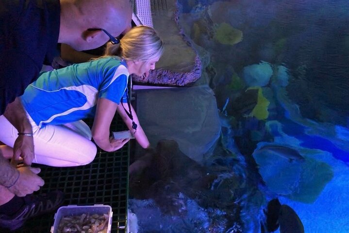 Cairns Aquarium Marine Life Encounter Ticket With 2-Course Lunch - thumb 2