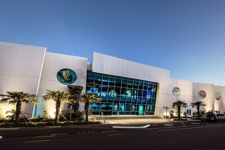Cairns Aquarium Admission Ticket - Palm Beach Accommodation 4