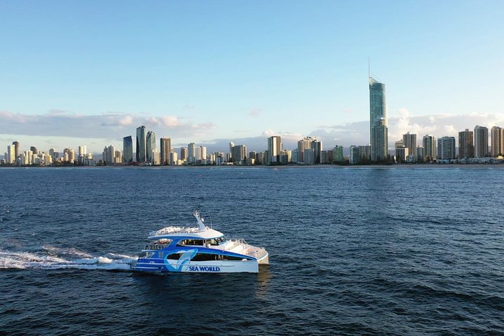 Whale Watching By Sea World Cruises - Accommodation in Brisbane 1