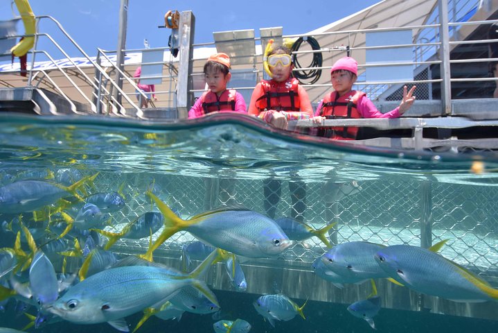 Outer Reef Pontoon Experience from Cairns - Tourism Listing