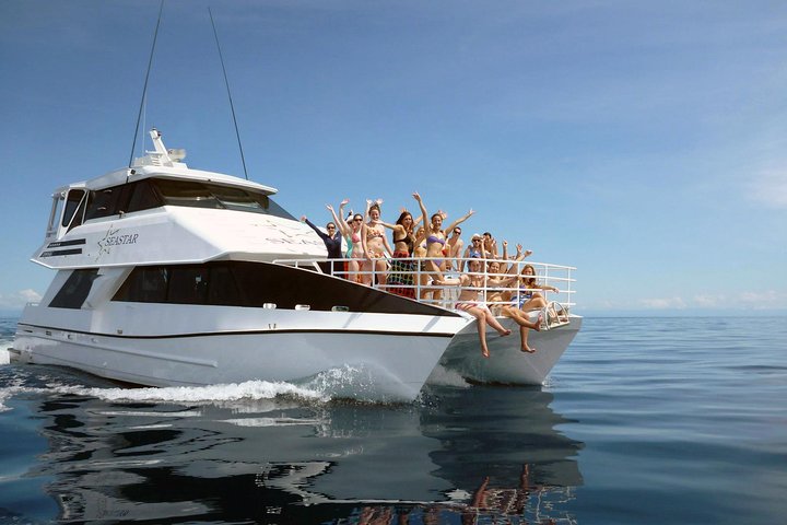 Seastar Luxury Outer Great Barrier Reef Island And Reef Tour From Cairns - Surfers Gold Coast 4