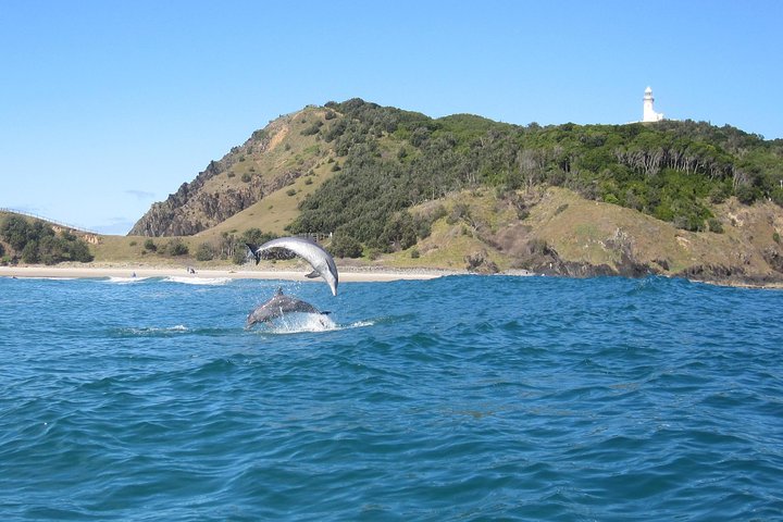 Kayaking with Dolphins in Byron Bay Guided Tour - Accommodation Australia