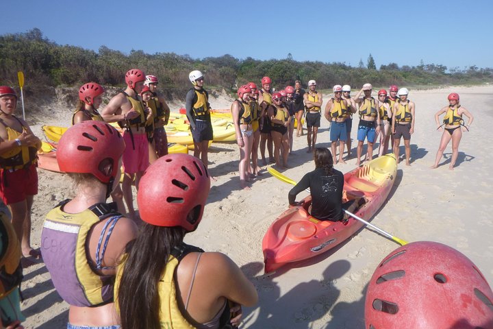 Kayaking With Dolphins In Byron Bay Guided Tour - Lismore Accommodation 2
