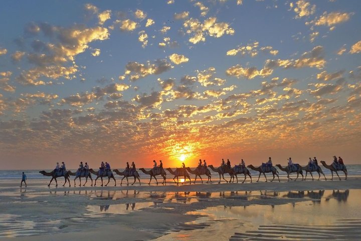 Broome City Sightseeing Tour With Optional Camel Ride - Australia Accommodation 1