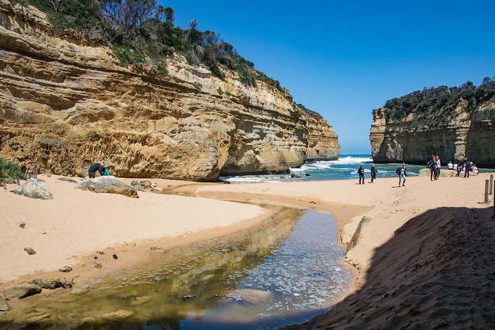 Great Ocean Road And 12 Apostles Day Trip From Melbourne - Phillip Island Accommodation 2