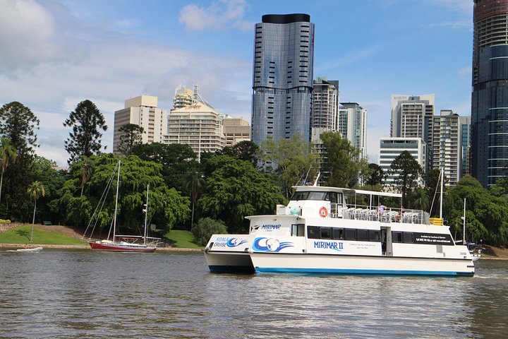 Lone Pine Koala Sanctuary Admission With Brisbane River Cruise - Kingaroy Accommodation 2