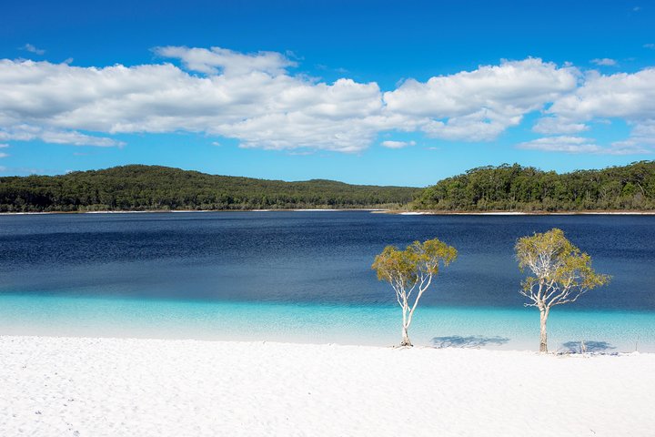 All-Inclusive Fraser Island Day Tour - Palm Beach Accommodation 3